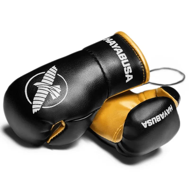 Hayabusa Mini Boxing Gloves — image 1 of 1