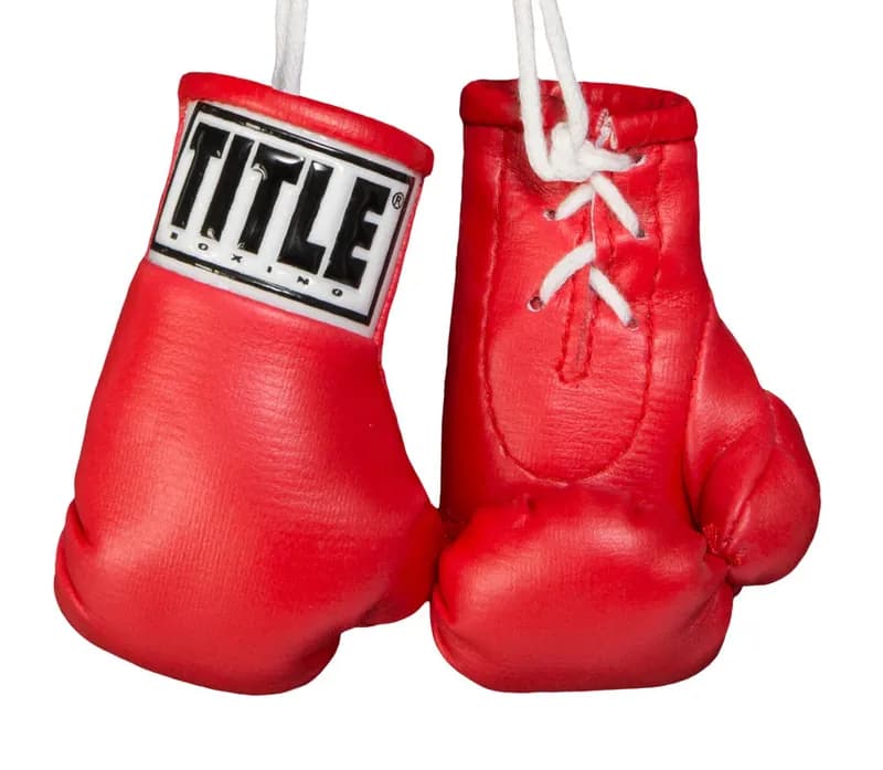 TITLE Boxing 3.5” Mini Boxing Gloves — image 1 of 1