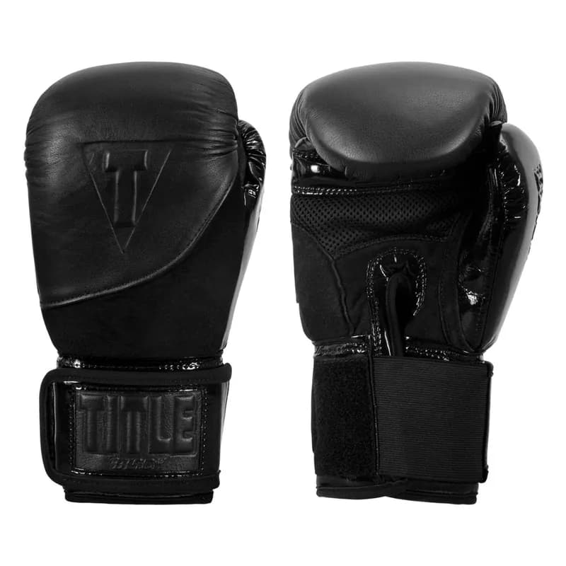 TITLE Black Blitz Fit Boxing Gloves — image 1 of 1