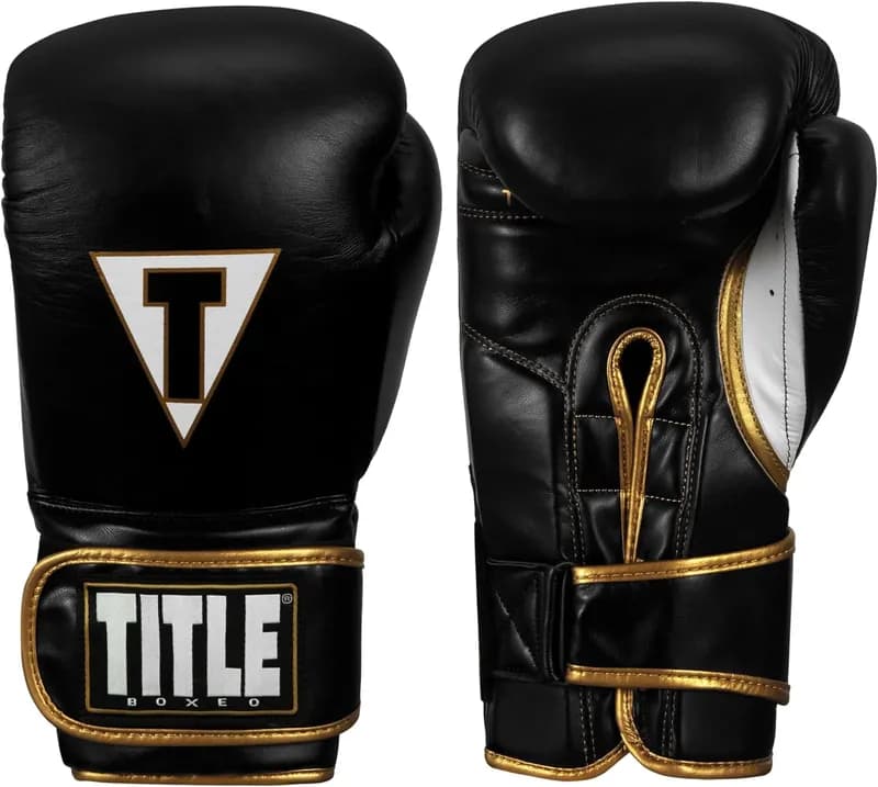 TITLE Boxeo Mexican Leather Bag Boxing Gloves Quatro — image 1 of 1