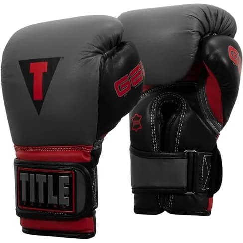TITLE Boxing Gel World V2T Bag Boxing Gloves — image 1 of 1
