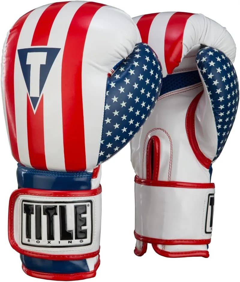 TITLE Boxing Infused Foam Combat USA Training Boxing Gloves — image 1 of 1