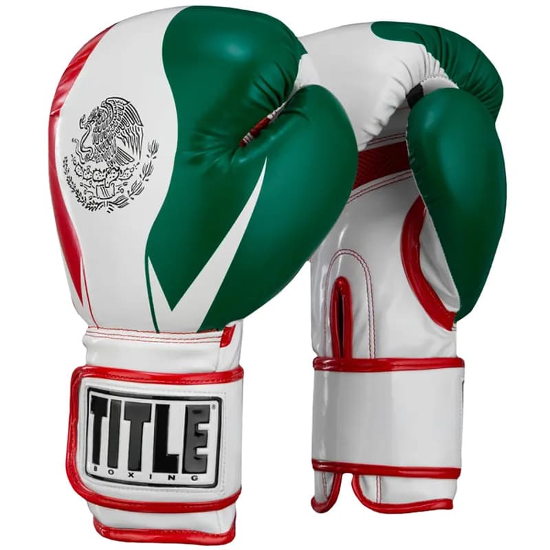 TITLE Boxing Infused Foam El Combate Mexico Training Boxing Gloves — image 1 of 1