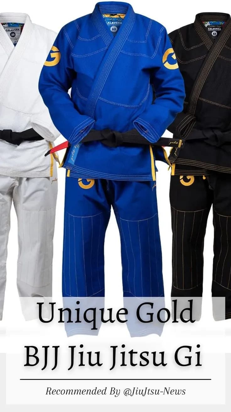 Gold BJJ Banner — image 1 of 1