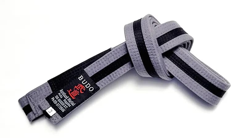 Kids Jiu Jitsu Belt Grey/Black — image 1 of 1