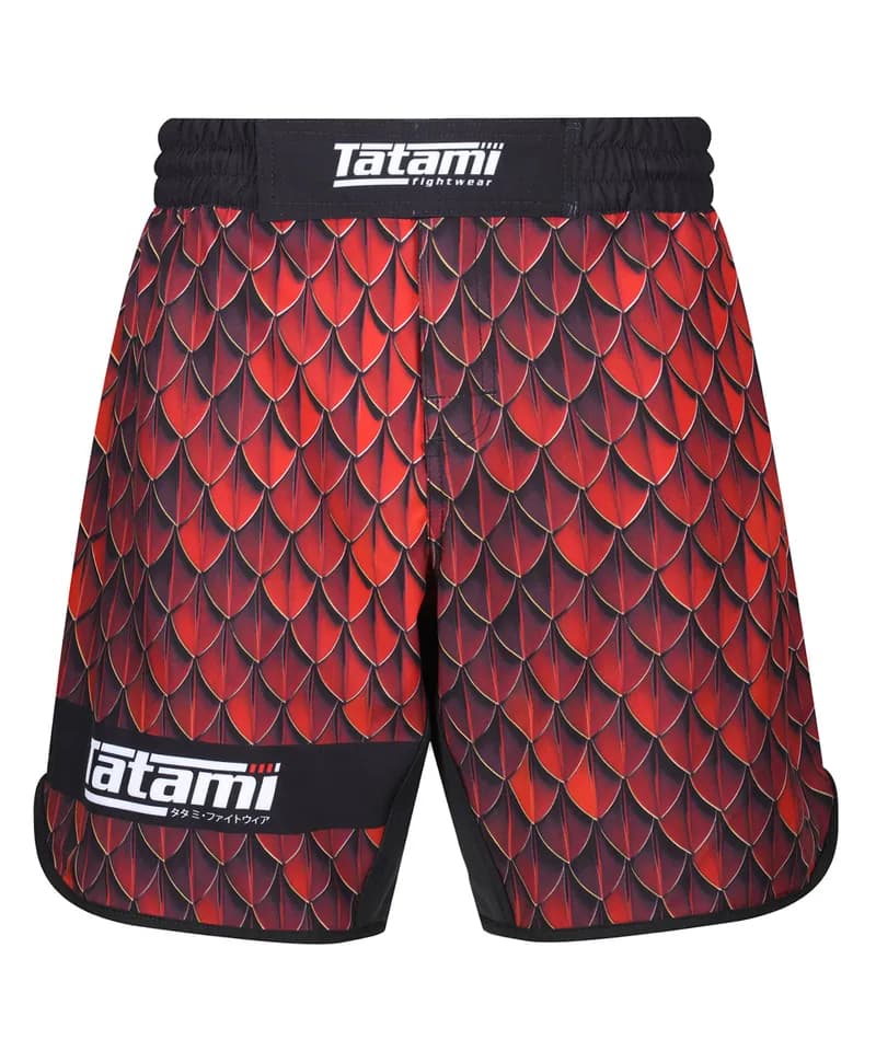 Kids Recharge Grappling Shorts - Dragon — image 1 of 1