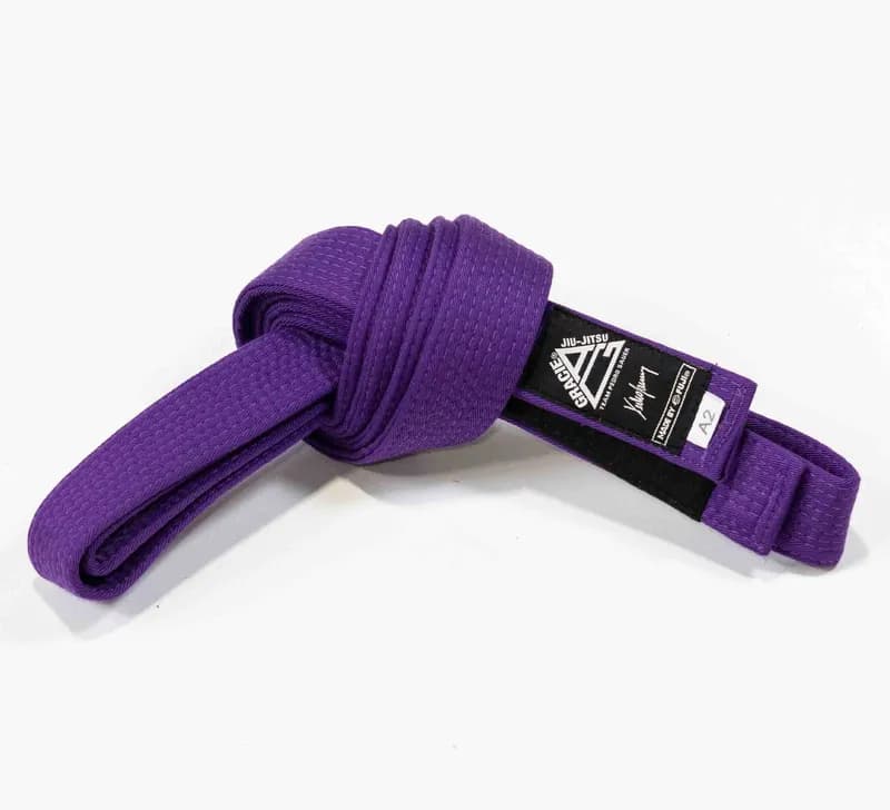 Pedro Sauer Jiu Jitsu Belt Purple — image 1 of 1