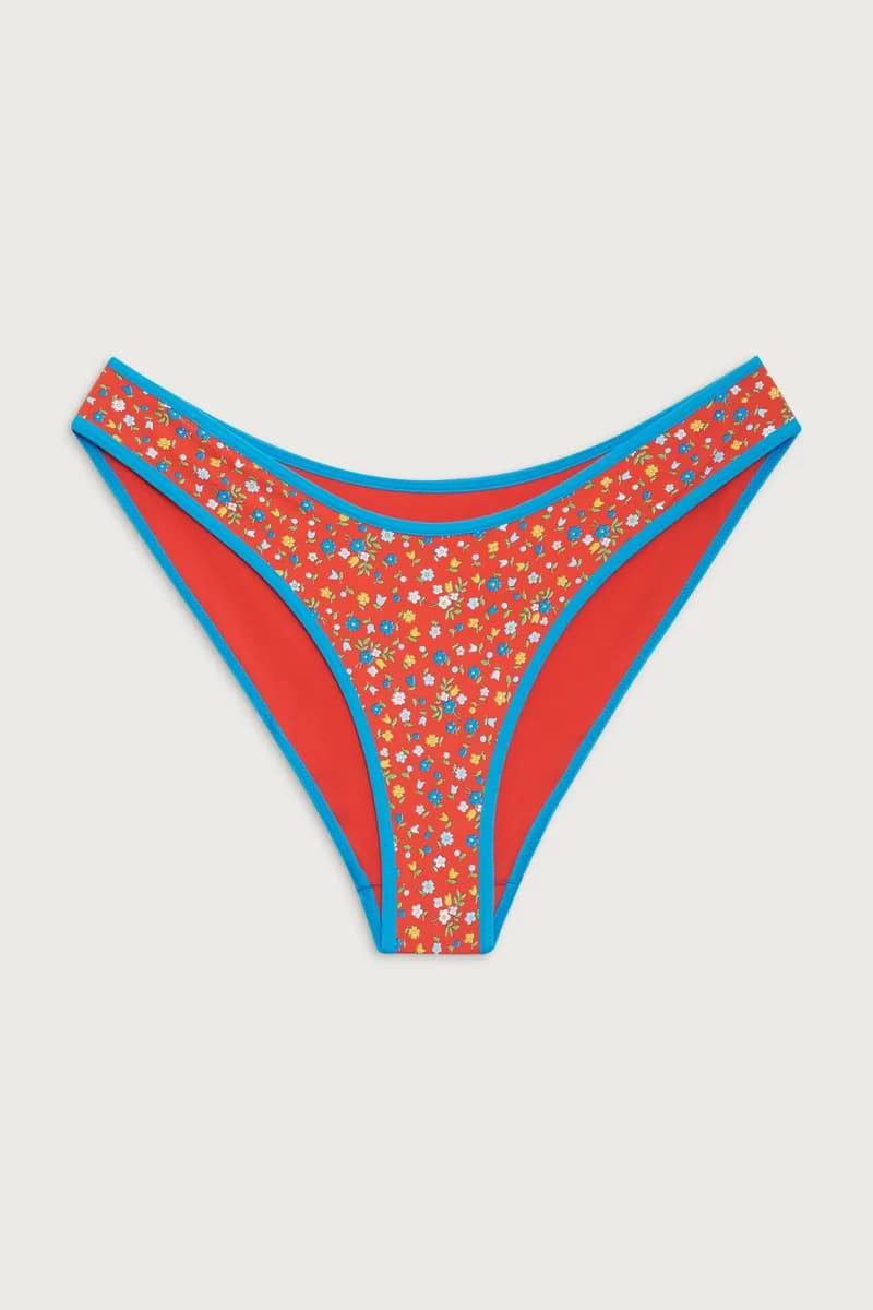 Catalina Full Coverage Bikini Bottom - Seaside Farm — image 1 of 1
