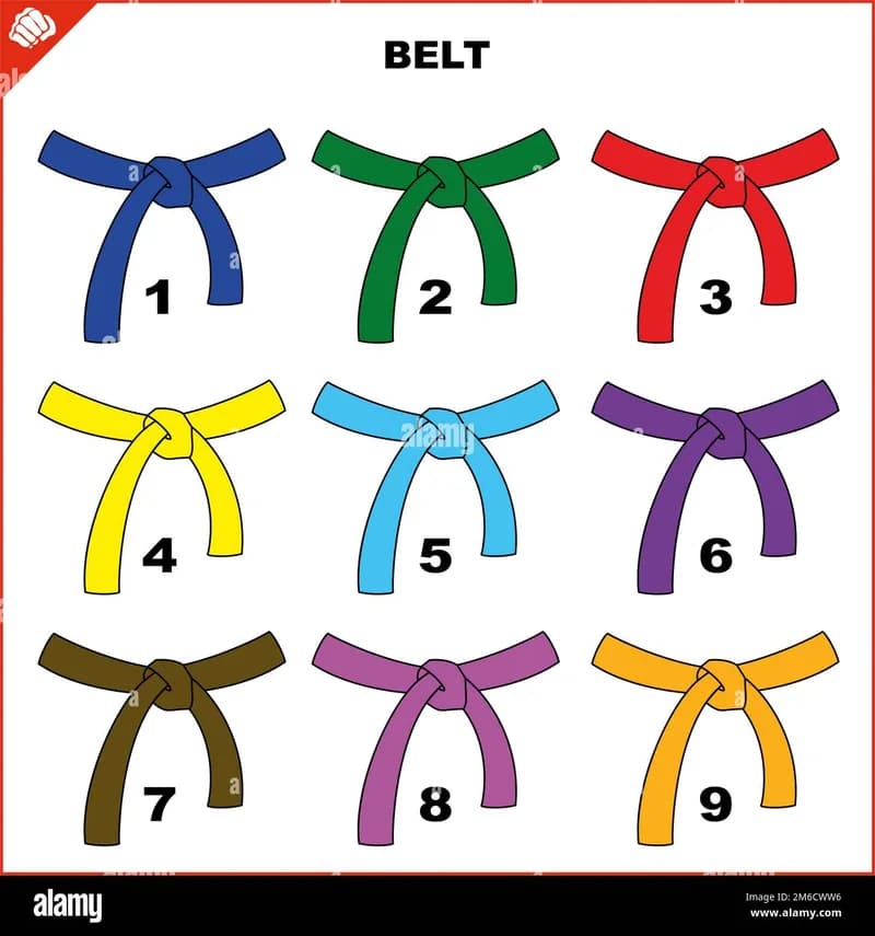 Judo Color Belt — image 1 of 1