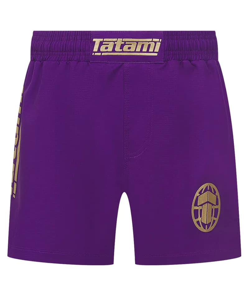Pro V2 Grappling Shorts - Purple — image 1 of 1