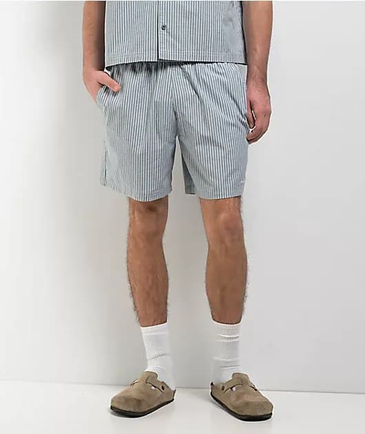 Skateboards Striped Light Blue Shorts — image 1 of 1